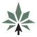 MedCanOneStop